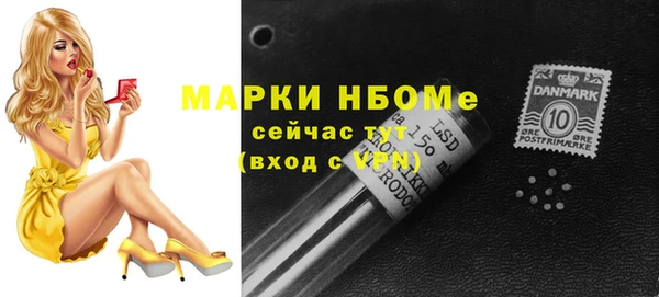 дживик Бородино