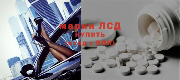 дживик Бородино