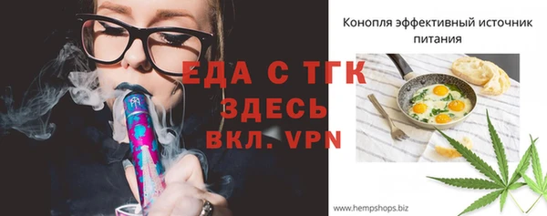 дживик Бородино