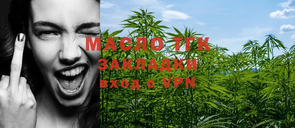дживик Бородино