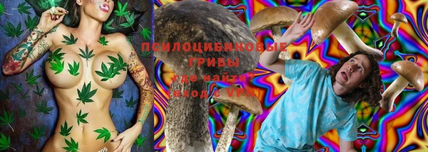 дурь Бугульма