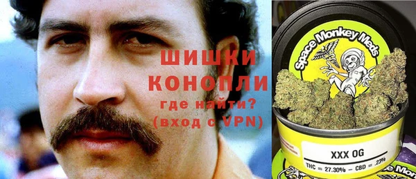 дживик Бородино
