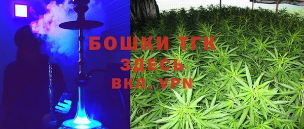 тгк Бронницы