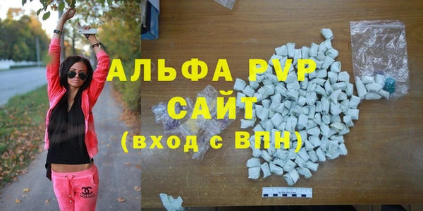 дживик Бородино