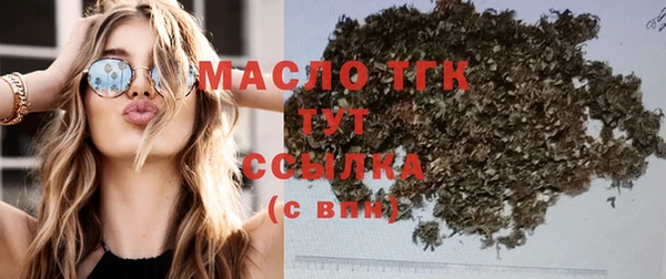 дживик Бородино