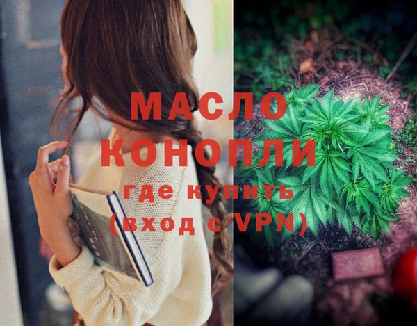 дживик Бородино