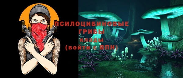 тгк Бронницы