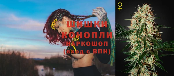 дживик Бородино